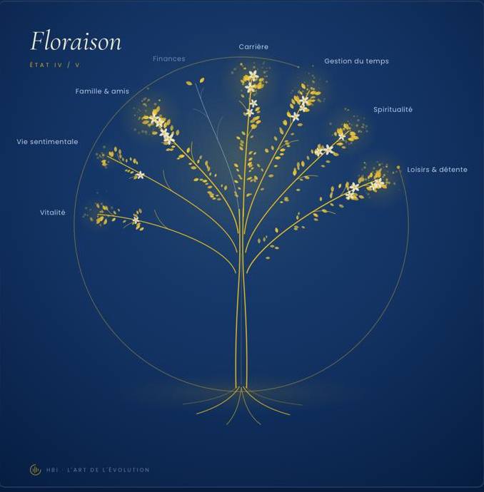 Sève — votre arbre à 8 branches